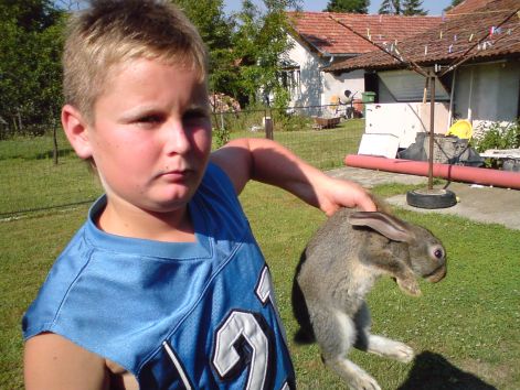 Dávid