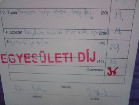 Misi bírálólapja