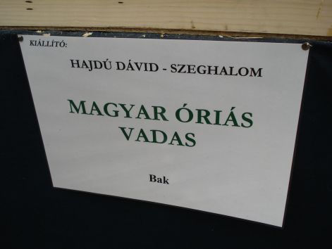 dsc00088.jpg