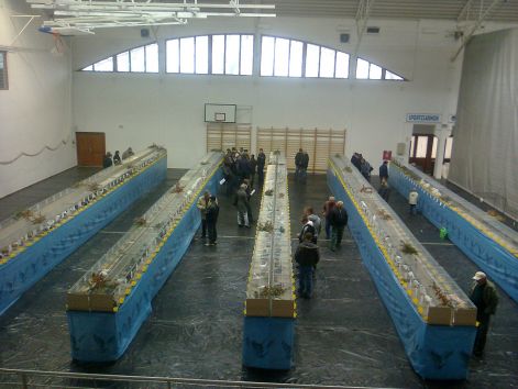 kiallitas2012_001.jpg