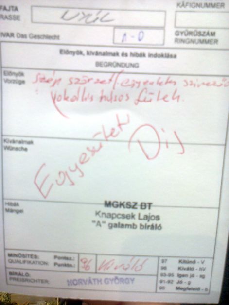 kiallitas2012_010.jpg