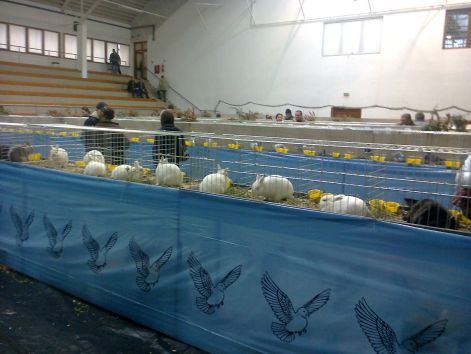 kiallitas2012_019.jpg