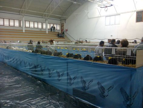 kiallitas2012_020.jpg