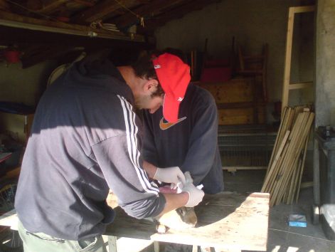 tetovalas20110312_001.jpg