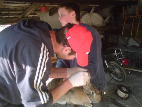 tetovalas20110312_017.jpg